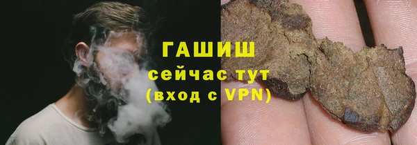 PSILOCYBIN Богданович