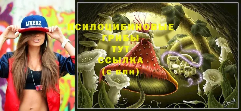 Галлюциногенные грибы MAGIC MUSHROOMS  как найти наркотики  Константиновск 